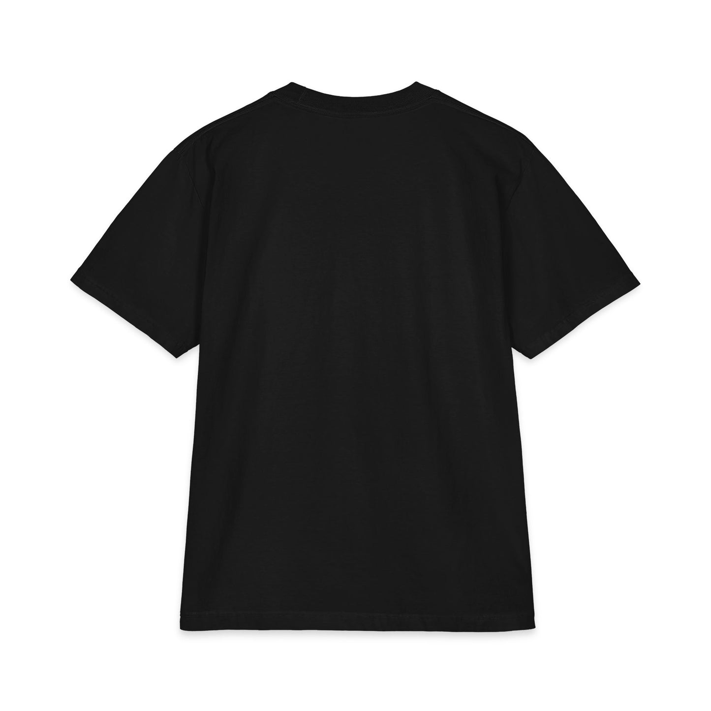 Light Fire Heritage T-shirt | Unisex